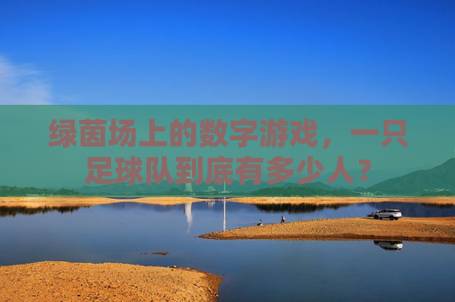 绿茵场上的数字游戏，一只足球队到底有多少人？