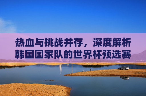 热血与挑战并存，深度解析韩国国家队的世界杯预选赛征程