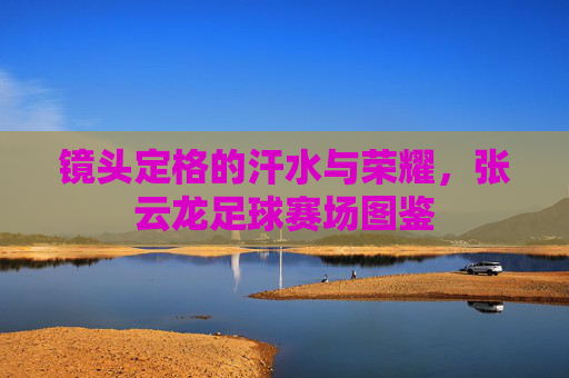 镜头定格的汗水与荣耀，张云龙足球赛场图鉴