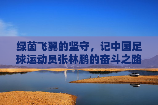 绿茵飞翼的坚守，记中国足球运动员张林鹏的奋斗之路