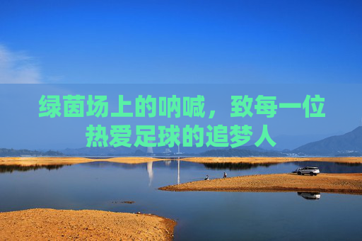 绿茵场上的呐喊，致每一位热爱足球的追梦人