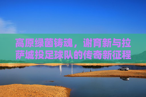 高原绿茵铸魂，谢育新与拉萨城投足球队的传奇新征程