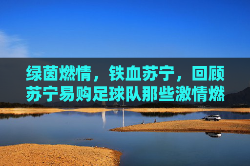 绿茵燃情，铁血苏宁，回顾苏宁易购足球队那些激情燃烧的赛事岁月