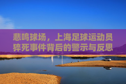 悲鸣球场，上海足球运动员猝死事件背后的警示与反思