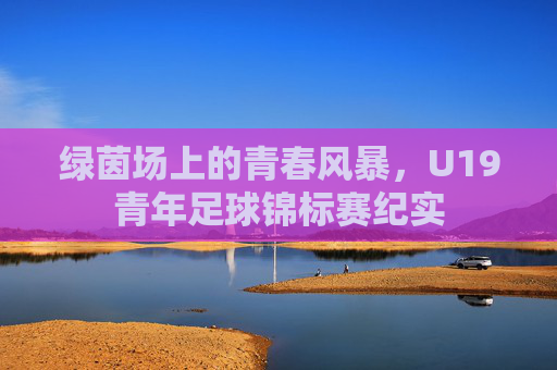 绿茵场上的青春风暴，U19青年足球锦标赛纪实