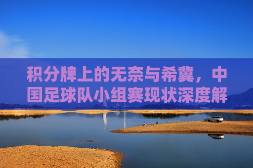 积分牌上的无奈与希冀，中国足球队小组赛现状深度解析