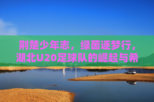 荆楚少年志，绿茵逐梦行，湖北U20足球队的崛起与希望