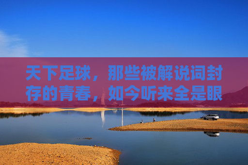 天下足球，那些被解说词封存的青春，如今听来全是眼泪