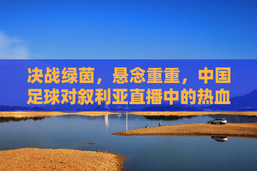 决战绿茵，悬念重重，中国足球对叙利亚直播中的热血与守望