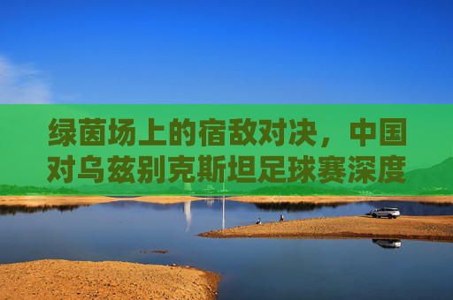 绿茵场上的宿敌对决，中国对乌兹别克斯坦足球赛深度解析