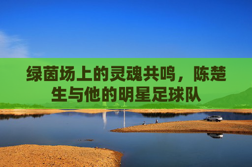 绿茵场上的灵魂共鸣，陈楚生与他的明星足球队