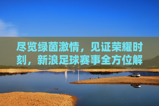 尽览绿茵激情，见证荣耀时刻，新浪足球赛事全方位解读