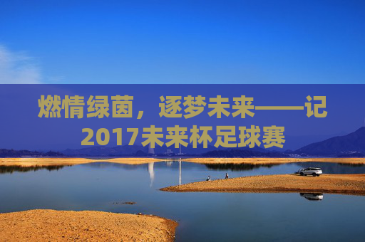 燃情绿茵，逐梦未来——记2017未来杯足球赛