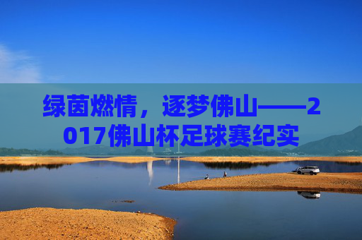 绿茵燃情，逐梦佛山——2017佛山杯足球赛纪实