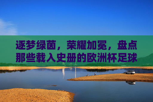 逐梦绿茵，荣耀加冕，盘点那些载入史册的欧洲杯足球队