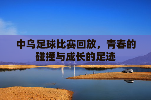 中乌足球比赛回放，青春的碰撞与成长的足迹
