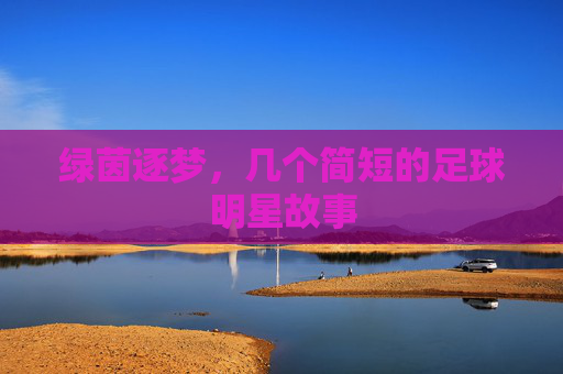 绿茵逐梦，几个简短的足球明星故事
