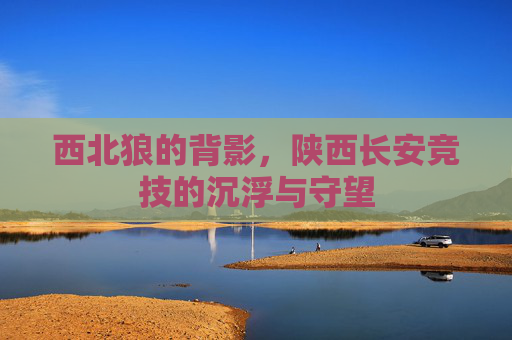 西北狼的背影，陕西长安竞技的沉浮与守望