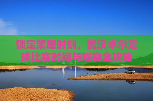 锁定荣耀时刻，武汉卓尔足球比赛时间与观赛全攻略