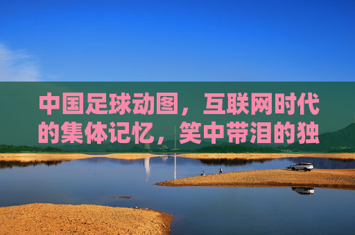 中国足球动图，互联网时代的集体记忆，笑中带泪的独家记忆