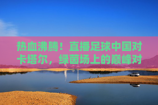 热血沸腾！直播足球中国对卡塔尔，绿茵场上的巅峰对决与青春誓言