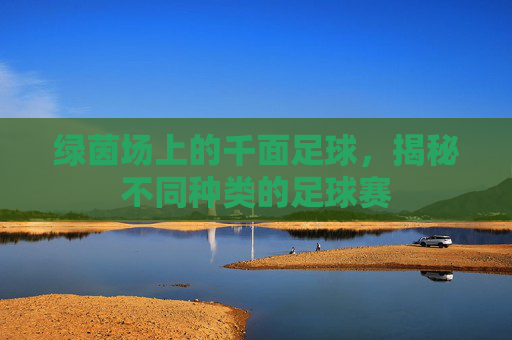 绿茵场上的千面足球，揭秘不同种类的足球赛