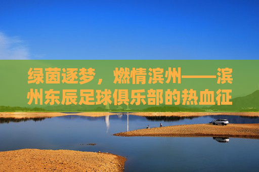 绿茵逐梦，燃情滨州——滨州东辰足球俱乐部的热血征程
