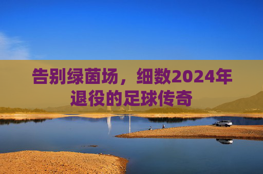 告别绿茵场，细数2024年退役的足球传奇