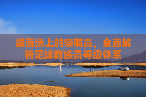 绿茵场上的领航员，全面解析足球教练员等级体系
