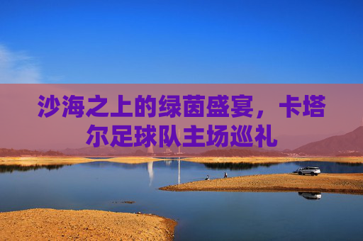 沙海之上的绿茵盛宴，卡塔尔足球队主场巡礼