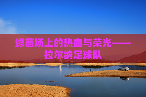 绿茵场上的热血与荣光——拉尔纳足球队