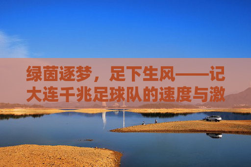 绿茵逐梦，足下生风——记大连千兆足球队的速度与激情