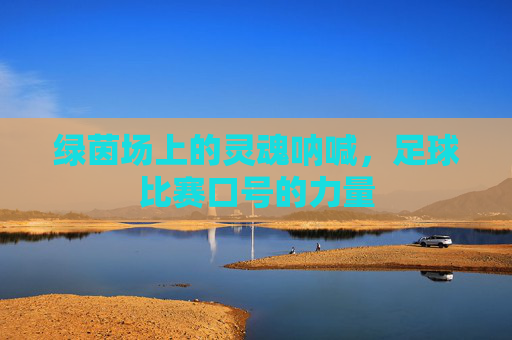 绿茵场上的灵魂呐喊，足球比赛口号的力量