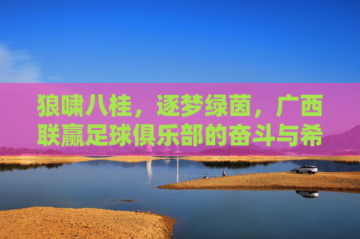 狼啸八桂，逐梦绿茵，广西联赢足球俱乐部的奋斗与希望