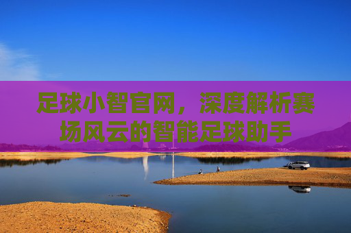 足球小智官网，深度解析赛场风云的智能足球助手