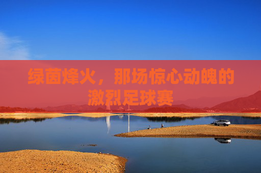 绿茵烽火，那场惊心动魄的激烈足球赛