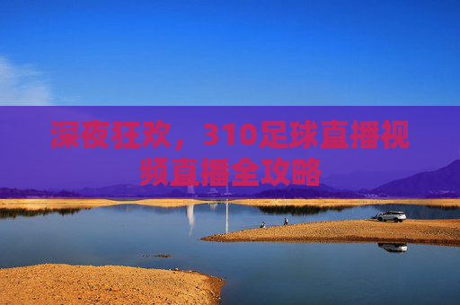 深夜狂欢，310足球直播视频直播全攻略