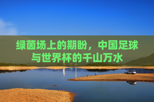 绿茵场上的期盼，中国足球与世界杯的千山万水