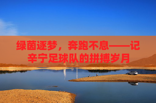 绿茵逐梦，奔跑不息——记辛宁足球队的拼搏岁月