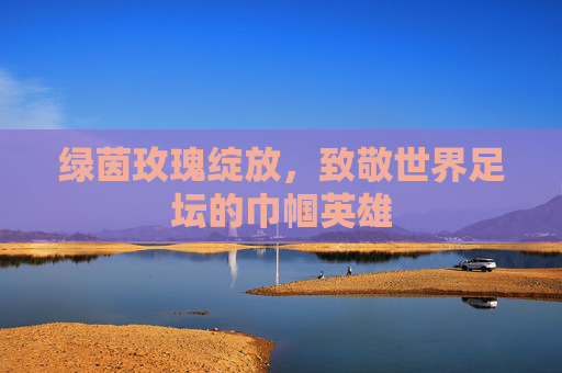 绿茵玫瑰绽放，致敬世界足坛的巾帼英雄