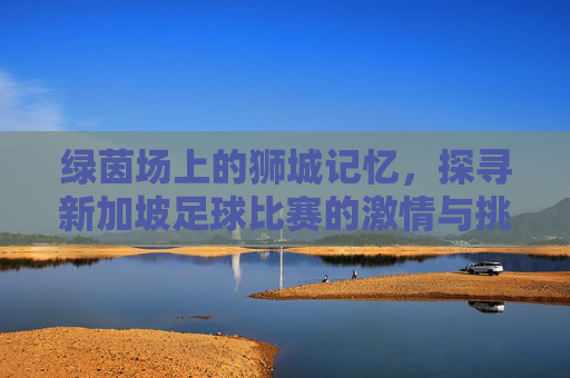 绿茵场上的狮城记忆，探寻新加坡足球比赛的激情与挑战
