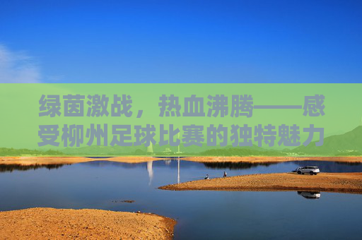 绿茵激战，热血沸腾——感受柳州足球比赛的独特魅力