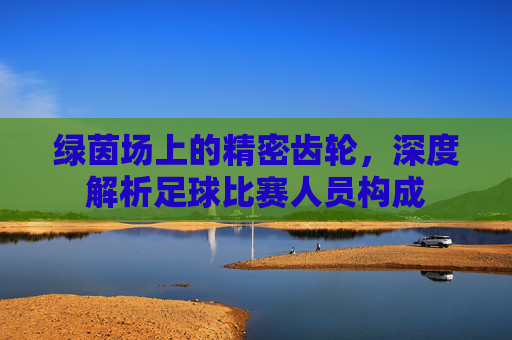 绿茵场上的精密齿轮，深度解析足球比赛人员构成