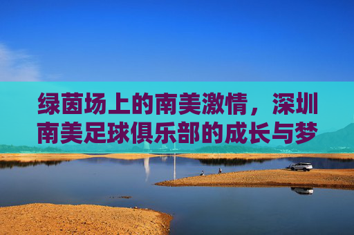 绿茵场上的南美激情，深圳南美足球俱乐部的成长与梦想