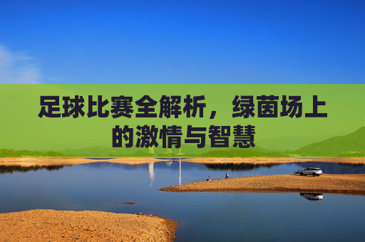 足球比赛全解析，绿茵场上的激情与智慧