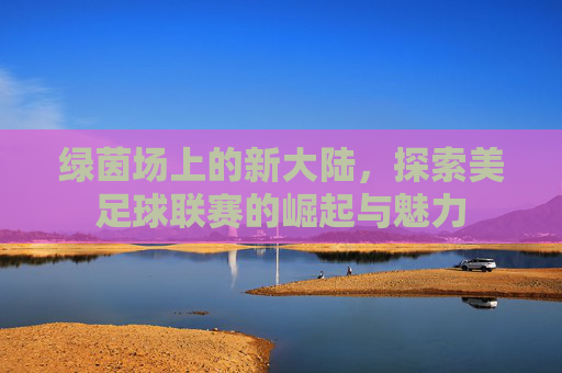 绿茵场上的新大陆，探索美足球联赛的崛起与魅力