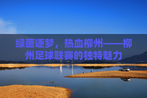 绿茵逐梦，热血柳州——柳州足球联赛的独特魅力