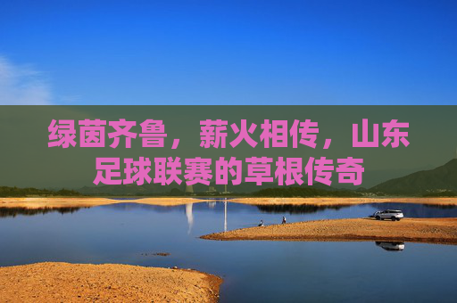 绿茵齐鲁，薪火相传，山东足球联赛的草根传奇