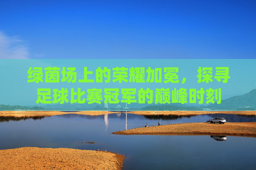 绿茵场上的荣耀加冕，探寻足球比赛冠军的巅峰时刻