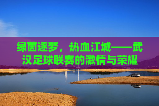 绿茵逐梦，热血江城——武汉足球联赛的激情与荣耀